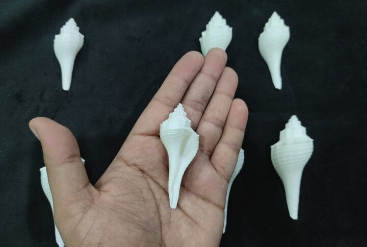 Vamavarti Shankh
