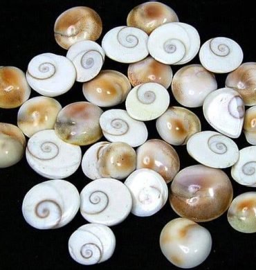 Gomti-Chakra-sm_2048x